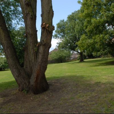 Field at Knowle Green